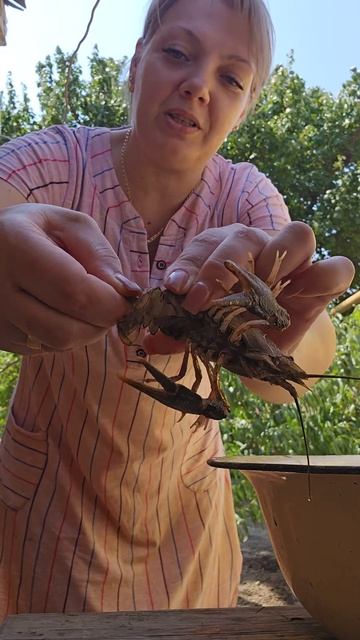 Раки к пиву как правильно сварить смотреть онлайн