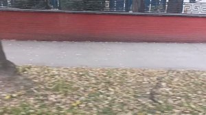 поездка на автобусе 30 Пермь