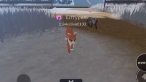 ”коты воители“ “1 часть“ “глава 1“ #роблокс #история