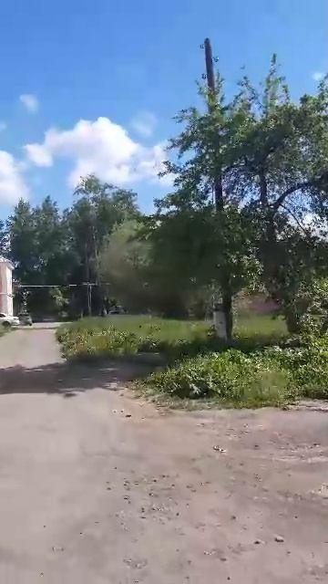 Райский сад в центре города 🌳🍃 смотреть онлайн