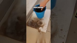 Чистка и пропитка фильтра нулевого сопротивления K&N д?