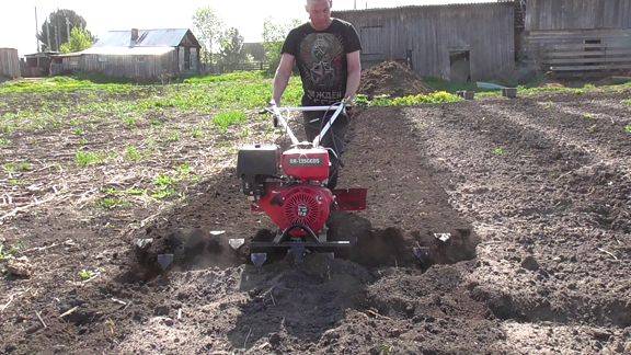 Фрезы гусиные лапки для мотоблока БРАЙТ 135.Культивируем огород под картошку. смотреть онлайн