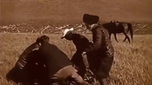 Кабардинская порода лошадей (Адыгэш). Документальные ?