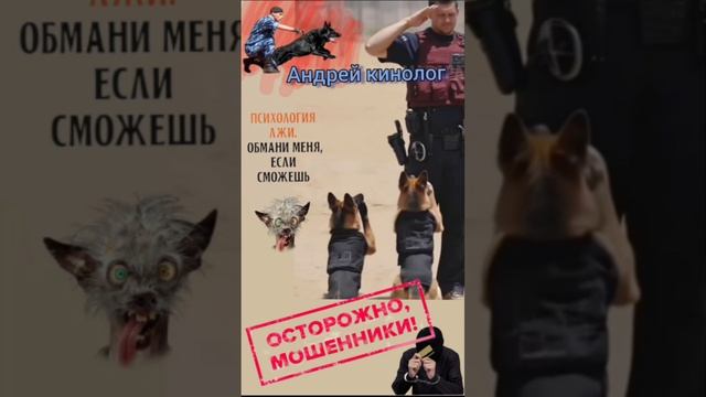 Мужчина в полном рассвете сил! смотреть онлайн