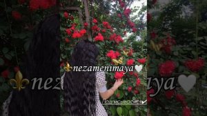 🔊⚜️Цыганская песня_Заматыем_ ПолИчКа 2025 🔥 
Полна версия ⚜️🔊