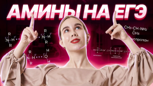 ВСЯ ТЕОРИЯ ПО АМИНАМ ДЛЯ ЕГЭ | Химия ЕГЭ | Умскул