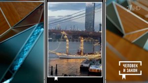 Видео недели: парусник врезался в Бруклинский мост; спасение мамы утки и утят; выдра хочет рыбку....