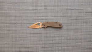 КАК ВЫБРАТЬ СПАЯ? Нож CHAPARRAL Spyderco