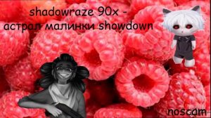 МЭШАП astral step x showdown x малинки