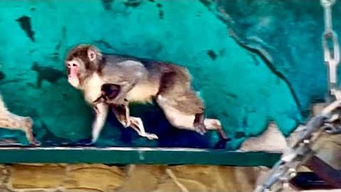 18+ МЫ НЕ ОЖИДАЛИ! Мама Рита не верит что с ее малышом случилась ТАКАЯ БЕДА смотреть онлайн