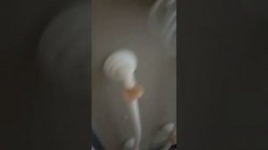 Сборка душевой кабины Водный Мир ВМ - 132