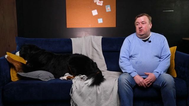 Бернский зенненхунд - все о породе, плюсы и минусы — шо смотреть онлайн