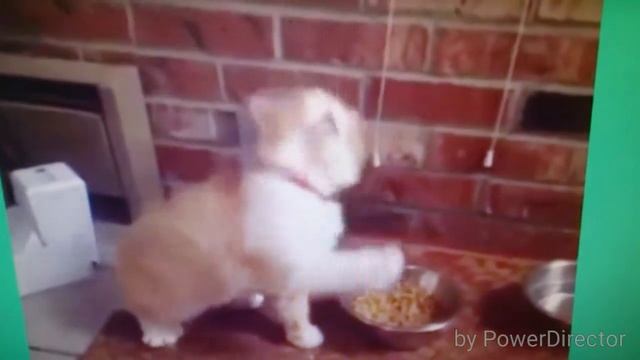 Улётные видео 7 серия смотреть онлайн