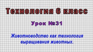 Технология 6 класс (Урок№31 - Животноводство как технология выращивания животных.)