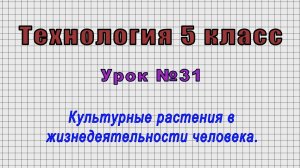 Технология 5 класс (Урок№31 - Культурные растения в жизнедеятельности человека.)