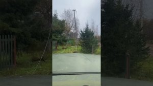 Зил 131 использование лебёдки.