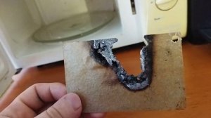 ЛайфХак с прогоревшей защитной  пластиной в микроволновке.