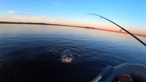 Река кипит от рыбы!!! Поклёвка на каждом забросе!!! Супер рыбалка! супер клёв!!!