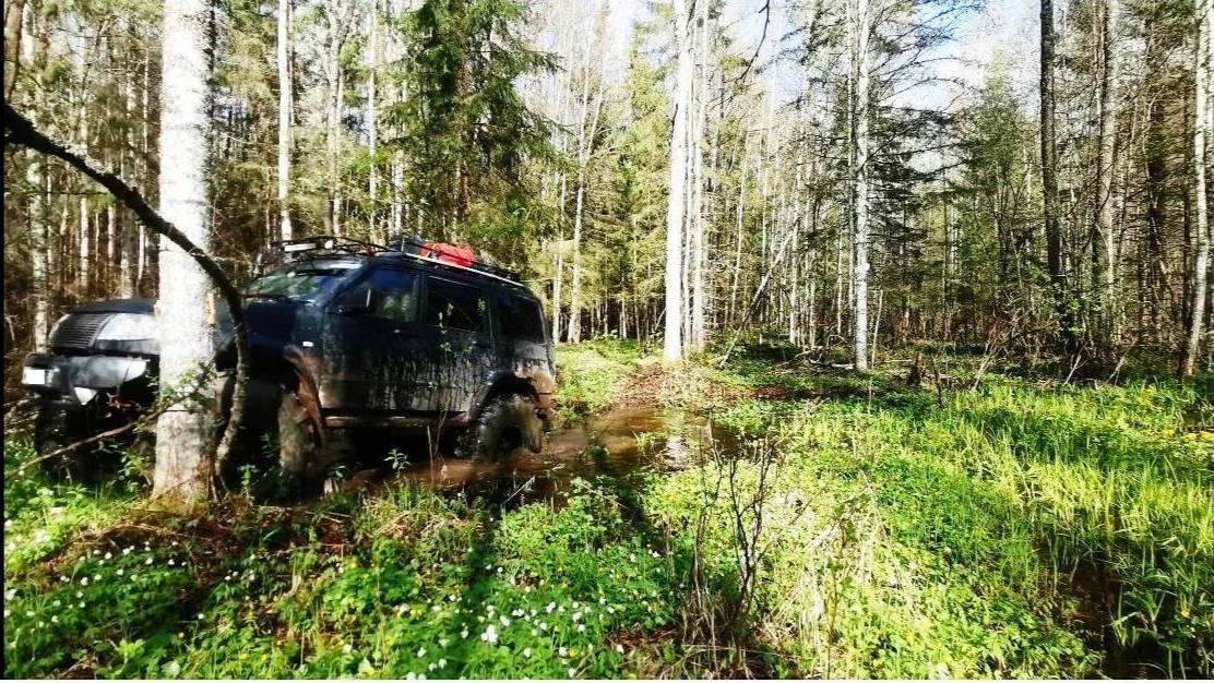Таежные джунгли. Четвертое таежное путешествие Уаз Росомах. День третий.