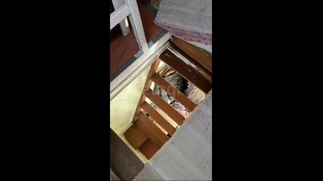 Кусинское сельское поселение, садоводческое некоммерческое товарищество Берёзка-2 смотреть онлайн