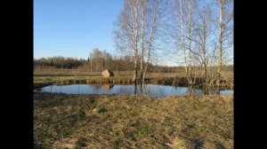 Усадьба художника А.Г. Венецианова Сафонково: сквозь дебри вымыслов - к исторической правде.