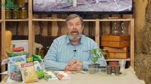 Особенности выращивания толстостенных перцев: знакомимся с гибридами от «Партнера» - 7 дач