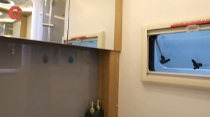 Роскошный автодом ИЗ КИТАЯ на 6 человек! Подробный обзор Китайского автодома Deddle RV Iveco Daily