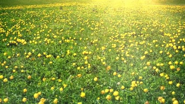 ГЕРОИЧЕСКАЯ МАТЬ БРОСИЛАСЬ НА СЫНА, ЧТОБЫ СПАСТИ ЕГО О