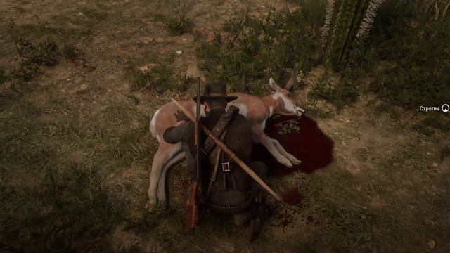 Сонорский вилорог самец (sonoran pronghorn male) Red Dead Redemption 2