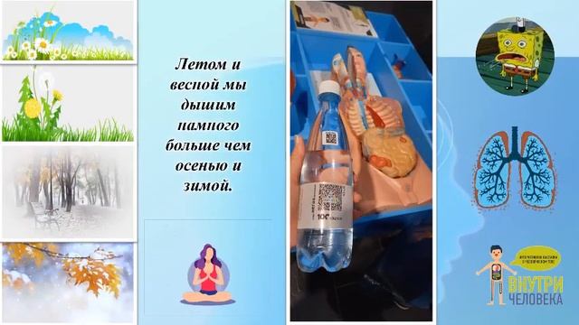 Поход на интерактивную выставку с водой «dimmel»! Сюжет клиента нашей компании Лидии Х. смотреть онлайн