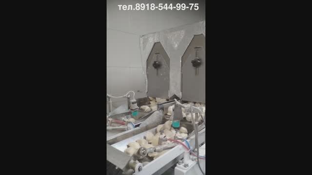 Упаковочный аппарат для фасовки пельменей и вареников в пакет смотреть онлайн