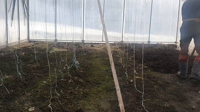 Свозили ребёнка на занятия в нейро школу🙃