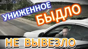 Униженное БЫДЛО не вывезло. Воронеж. выпуск №70 + Видосы от подписчиков. Май 2025