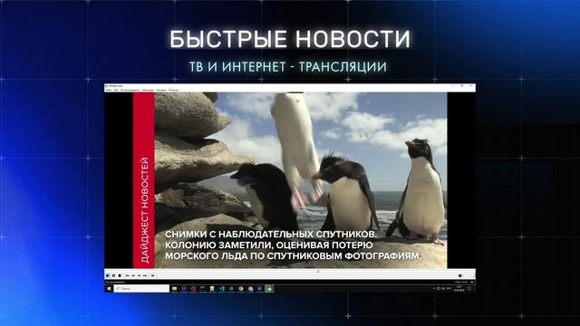 Создание дайджеста новостей на базе сервиса Iactive.pro