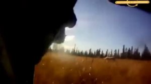 Охота на медведя в Швеции