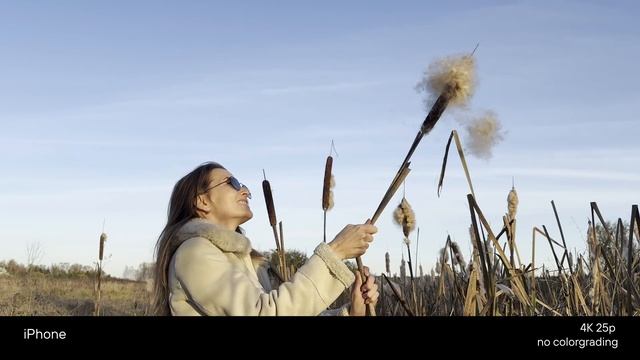 Сравнение IPhone VS Sony ZV-E1 | Телефон или камера | Зачем сним?