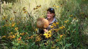 ТРОЕ МУЖЧИН И Я ЗА КОМПАНИЮ