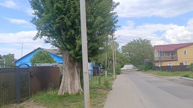 Иду за коробкой/ Прикольные вкусняшки/Кошка с котятами🐱 смотреть онлайн