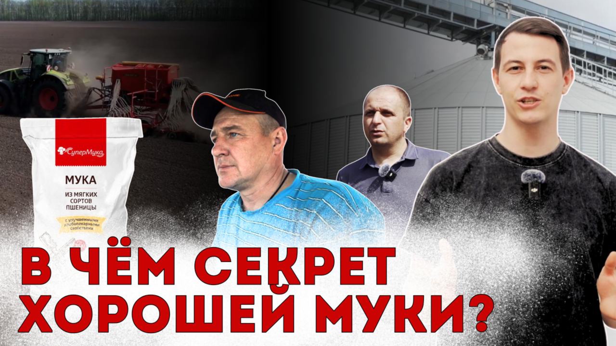 Как сеют зерновые: посевная пшеницы смотреть онлайн