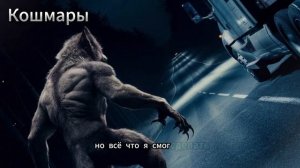 3 СТРАШНЫЕ ВСТРЕЧИ ВОДИТЕЛЕЙ ГРУЗОВИКОВ С ОБОРОТНЯМИ ?