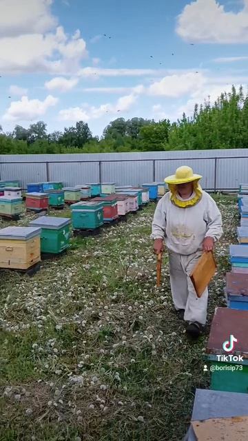 🐝🌺🌞♥️♥️🌞🌺🐝🌺🐝🐝♥️🌞🌺 смотреть онлайн