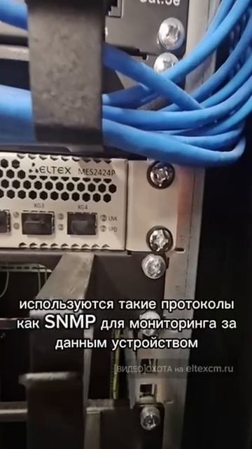 Коммутатор доступа PoE MES2424P Eltex. Видео[Охота] на eltexcm.ru