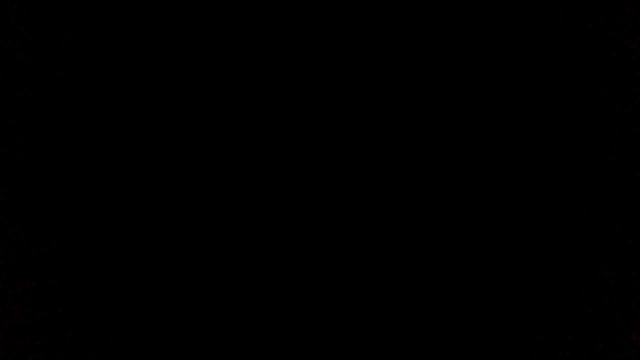 ночной охранник