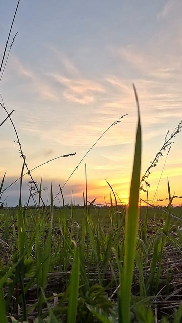 г. Тотьма- закат смотреть онлайн