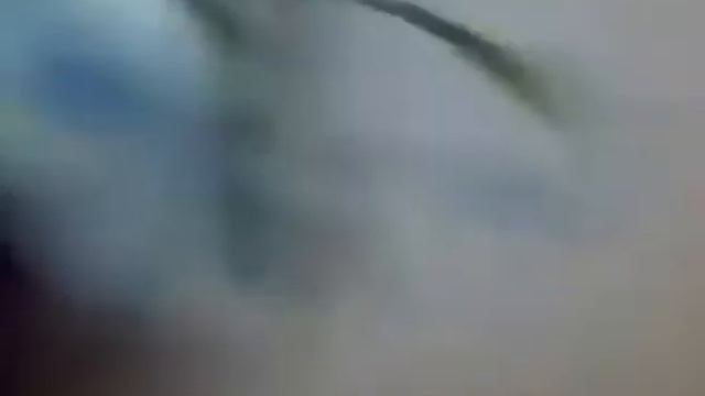Смех и грех, почему не стоит обижать кошек Полный ржач, приколы 2015 январь смотреть онлайн