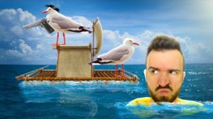 ЧАЙКИ ЗАХВАТИЛИ МОЙ ПЛОТ