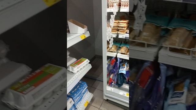 МИР ДРУЖБА ФЕСТИВАЛЬ смотреть онлайн