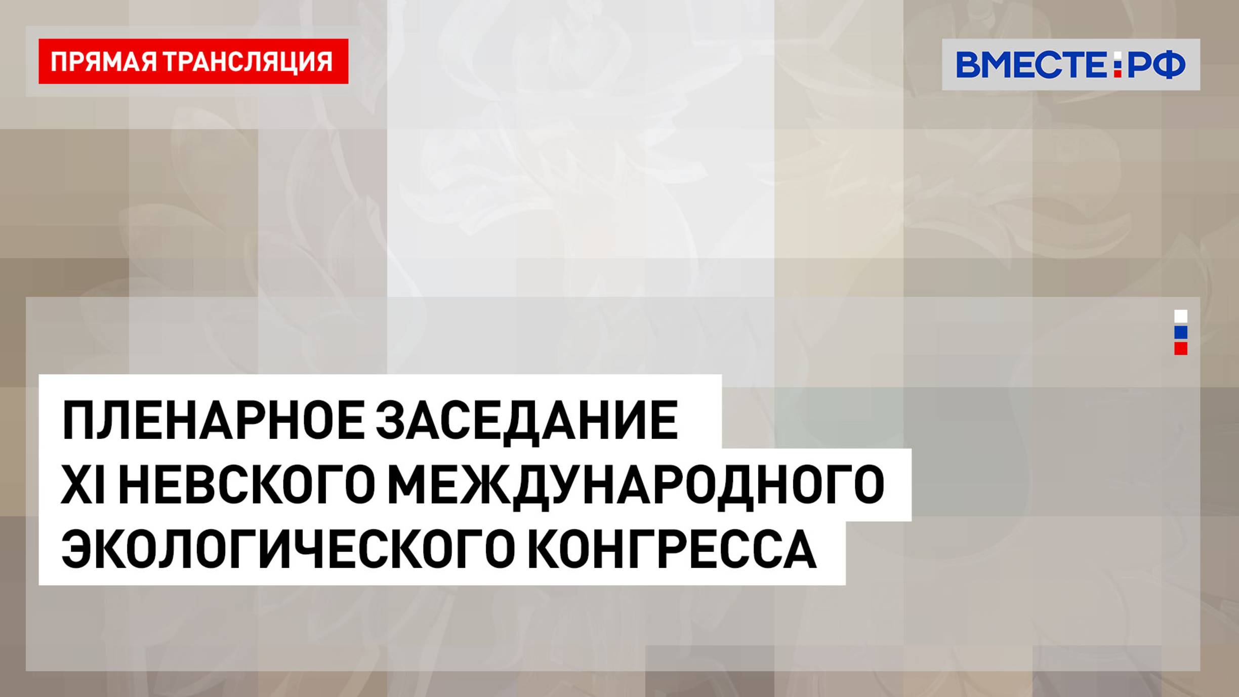 Пленарное заседание XI Невского международного экологического конгресса