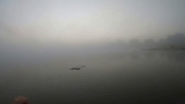 Щука на кружки 2022 год. смотреть онлайн