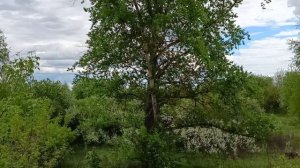 ВРЕМЯ, КОГДА ДАЖЕ ВОЗДУХ ПАХНЕТ МЕЧТАМИ!